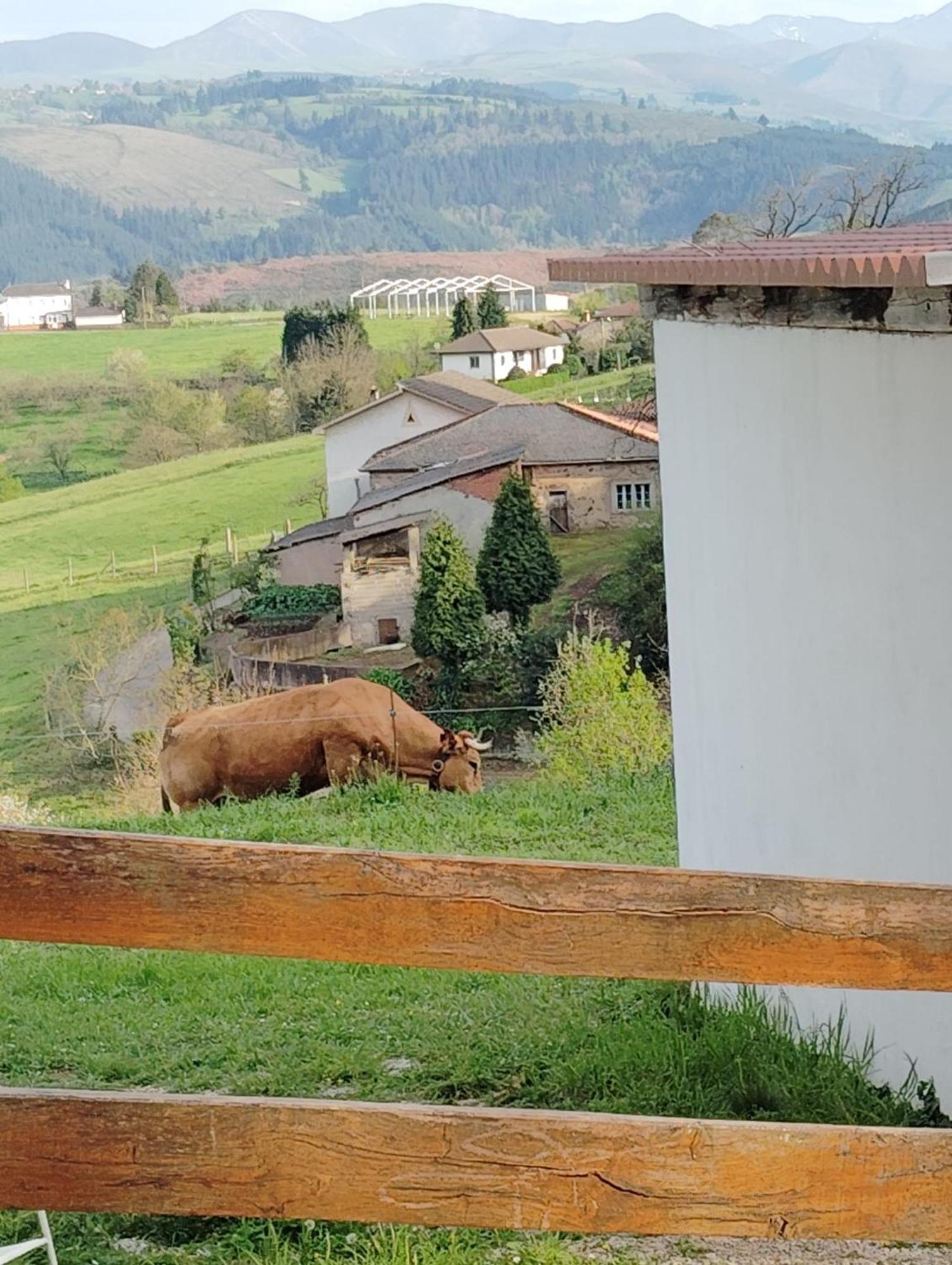Hotel El Nuevo Semellon Aceptamos Mascotas Tineo Extérieur photo